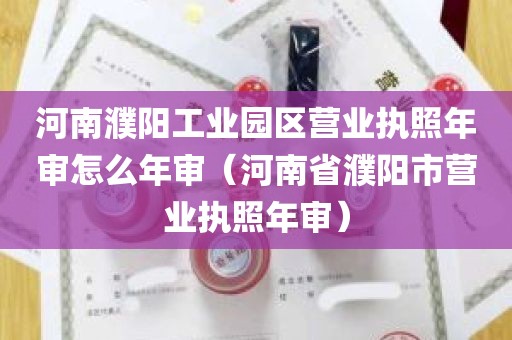 河南濮阳工业园区营业执照年审怎么年审（河南省濮阳市营业执照年审）