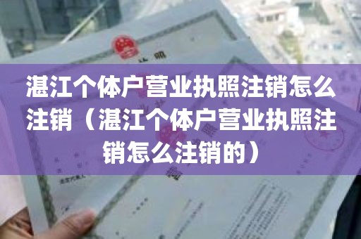 湛江个体户营业执照注销怎么注销（湛江个体户营业执照注销怎么注销的）