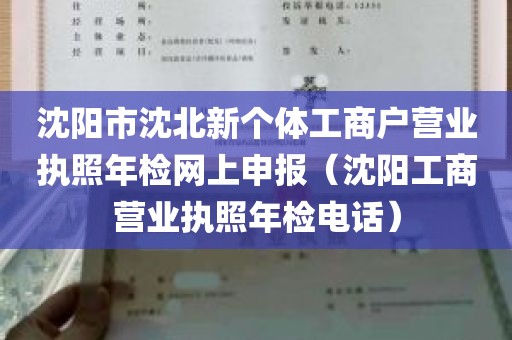 沈阳市沈北新个体工商户营业执照年检网上申报（沈阳工商营业执照年检电话）