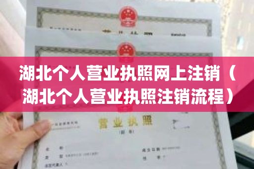 湖北个人营业执照网上注销（湖北个人营业执照注销流程）