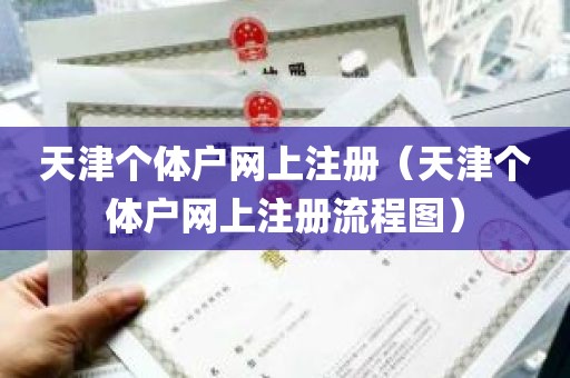 天津个体户网上注册（天津个体户网上注册流程图）