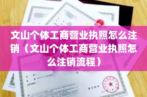 文山个体工商营业执照怎么注销（文山个体工商营业执照怎么注销流程）