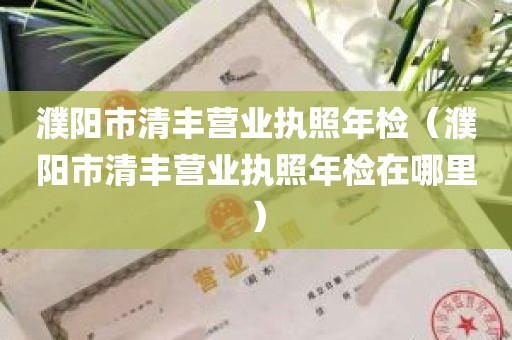 濮阳市清丰营业执照年检（濮阳市清丰营业执照年检在哪里）