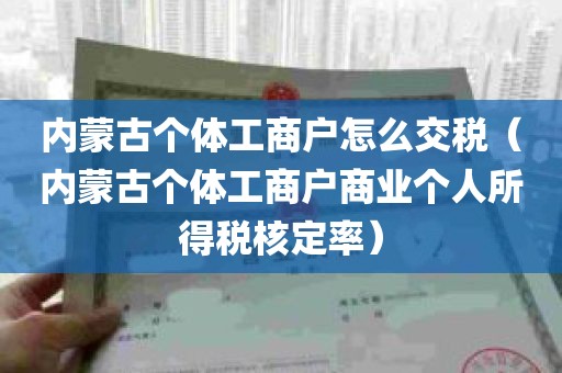 内蒙古个体工商户怎么交税（内蒙古个体工商户商业个人所得税核定率）