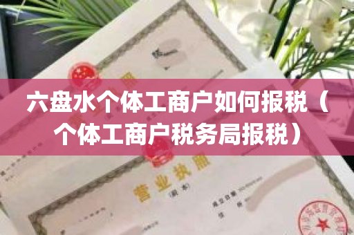 六盘水个体工商户如何报税（个体工商户税务局报税）