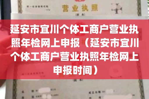 延安市宜川个体工商户营业执照年检网上申报（延安市宜川个体工商户营业执照年检网上申报时间）