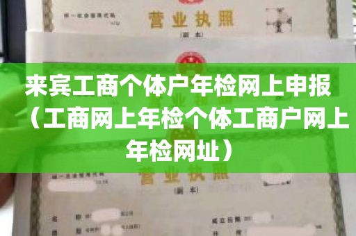 来宾工商个体户年检网上申报（工商网上年检个体工商户网上年检网址）