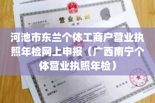 河池市东兰个体工商户营业执照年检网上申报（广西南宁个体营业执照年检）