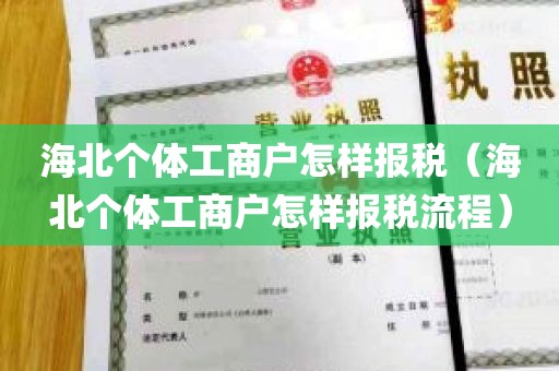 海北个体工商户怎样报税（海北个体工商户怎样报税流程）