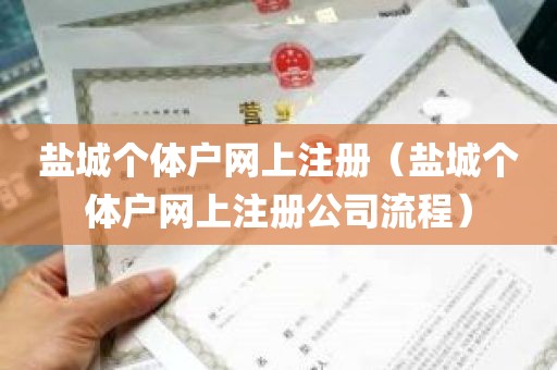 盐城个体户网上注册（盐城个体户网上注册公司流程）