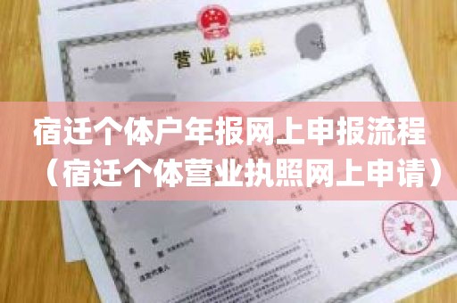 宿迁个体户年报网上申报流程（宿迁个体营业执照网上申请）