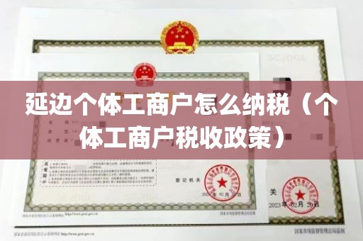 延边个体工商户怎么纳税（个体工商户税收政策）