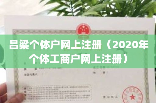 吕梁个体户网上注册（2020年个体工商户网上注册）