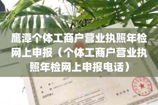 鹰潭个体工商户营业执照年检网上申报（个体工商户营业执照年检网上申报电话）