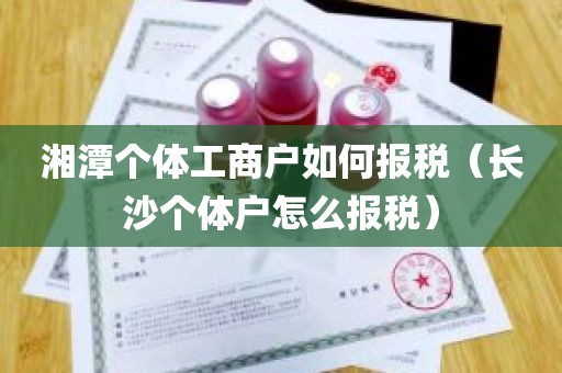 湘潭个体工商户如何报税（长沙个体户怎么报税）