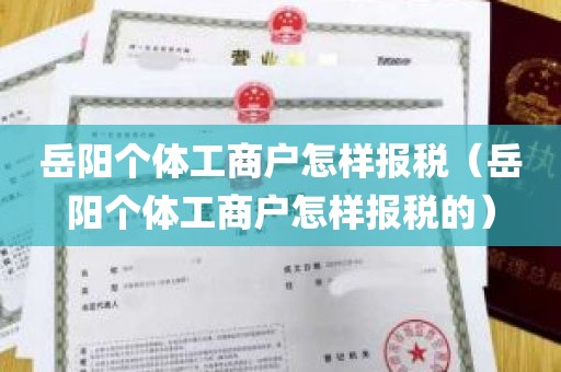 岳阳个体工商户怎样报税（岳阳个体工商户怎样报税的）