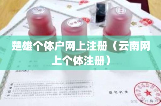 楚雄个体户网上注册（云南网上个体注册）