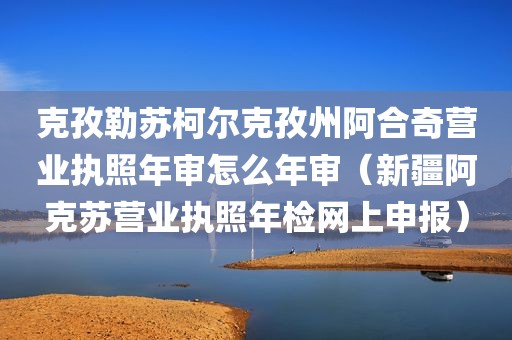 克孜勒苏柯尔克孜州阿合奇营业执照年审怎么年审（新疆阿克苏营业执照年检网上申报）