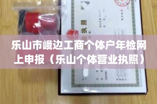 乐山市峨边工商个体户年检网上申报（乐山个体营业执照）