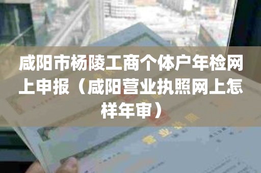 咸阳市杨陵工商个体户年检网上申报（咸阳营业执照网上怎样年审）