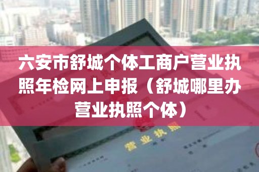 六安市舒城个体工商户营业执照年检网上申报（舒城哪里办营业执照个体）