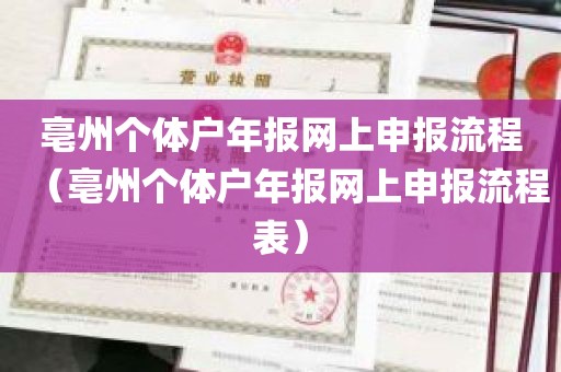 亳州个体户年报网上申报流程（亳州个体户年报网上申报流程表）