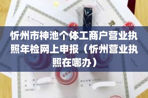 忻州市神池个体工商户营业执照年检网上申报（忻州营业执照在哪办）