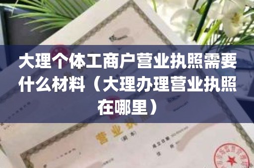 大理个体工商户营业执照需要什么材料（大理办理营业执照在哪里）