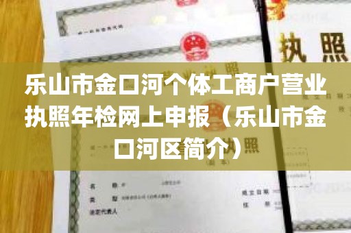 乐山市金口河个体工商户营业执照年检网上申报（乐山市金口河区简介）