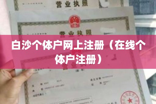 白沙个体户网上注册（在线个体户注册）