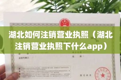 湖北如何注销营业执照（湖北注销营业执照下什么app）