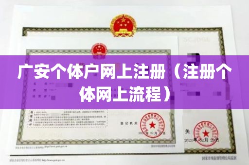 广安个体户网上注册（注册个体网上流程）