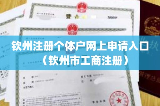 钦州注册个体户网上申请入口（钦州市工商注册）