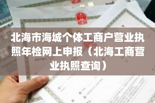 北海市海城个体工商户营业执照年检网上申报（北海工商营业执照查询）