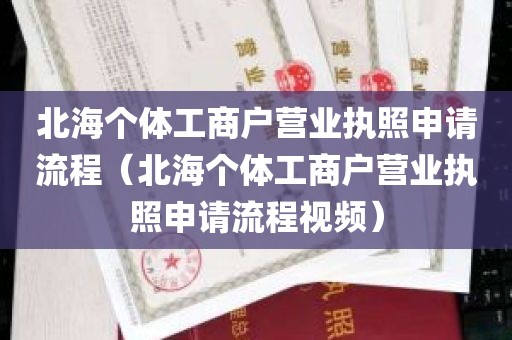 北海个体工商户营业执照申请流程（北海个体工商户营业执照申请流程视频）