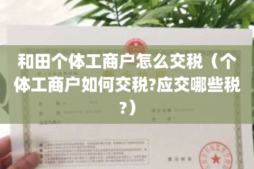 和田个体工商户怎么交税（个体工商户如何交税?应交哪些税?）