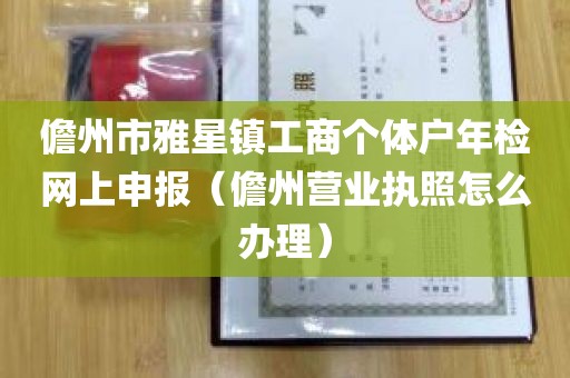 儋州市雅星镇工商个体户年检网上申报（儋州营业执照怎么办理）