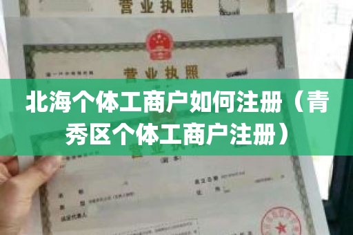 北海个体工商户如何注册（青秀区个体工商户注册）