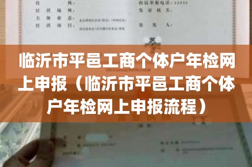 临沂市平邑工商个体户年检网上申报（临沂市平邑工商个体户年检网上申报流程）