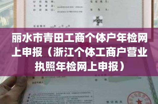 丽水市青田工商个体户年检网上申报（浙江个体工商户营业执照年检网上申报）