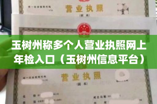 玉树州称多个人营业执照网上年检入口（玉树州信息平台）