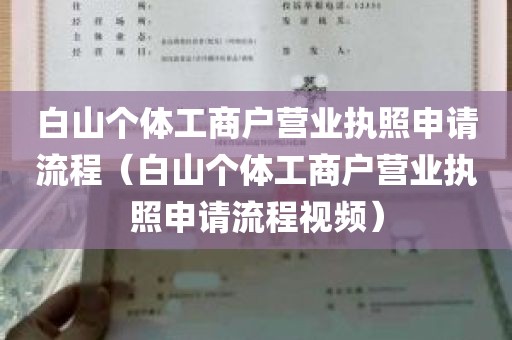 白山个体工商户营业执照申请流程（白山个体工商户营业执照申请流程视频）