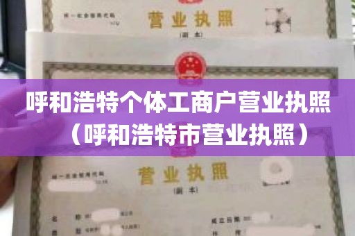 呼和浩特个体工商户营业执照（呼和浩特市营业执照）