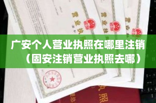 广安个人营业执照在哪里注销（固安注销营业执照去哪）