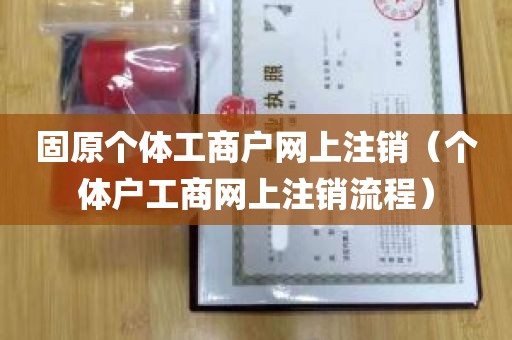 固原个体工商户网上注销（个体户工商网上注销流程）