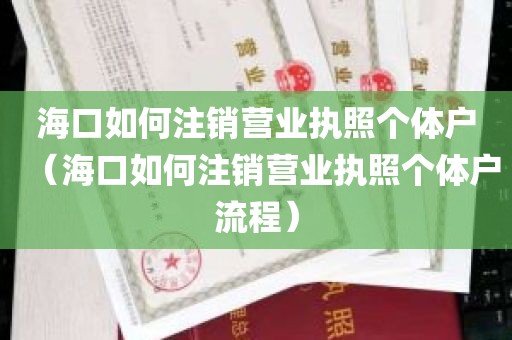 海口如何注销营业执照个体户（海口如何注销营业执照个体户流程）