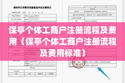 保亭个体工商户注册流程及费用（保亭个体工商户注册流程及费用标准）