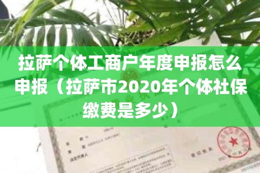 拉萨个体工商户年度申报怎么申报（拉萨市2020年个体社保缴费是多少）