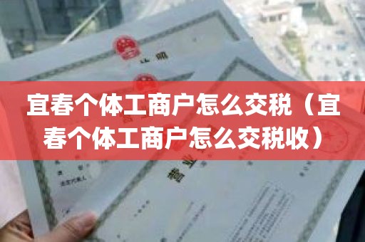 宜春个体工商户怎么交税（宜春个体工商户怎么交税收）