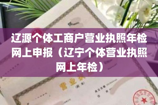 辽源个体工商户营业执照年检网上申报（辽宁个体营业执照网上年检）